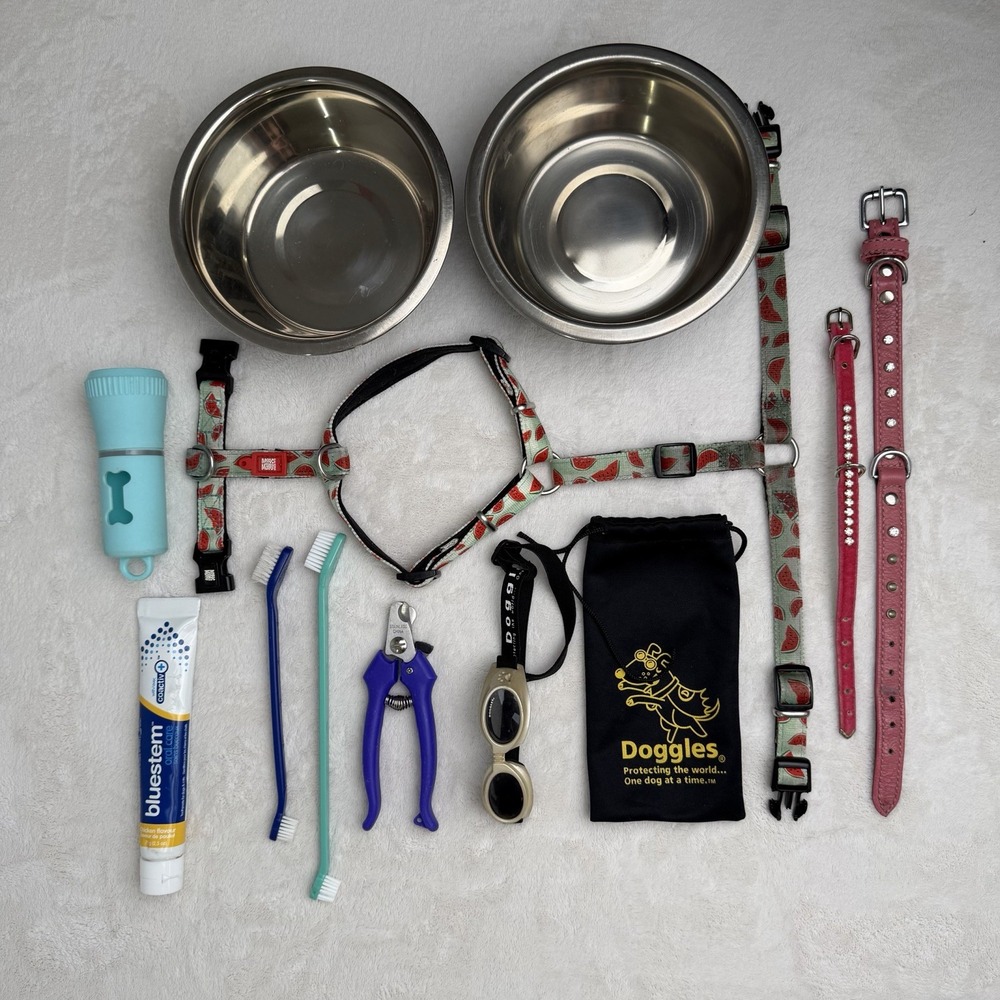 Dog Supplies Lot Bowls Harness Collars Goggles Toothpaste Clippers Brushes Paste